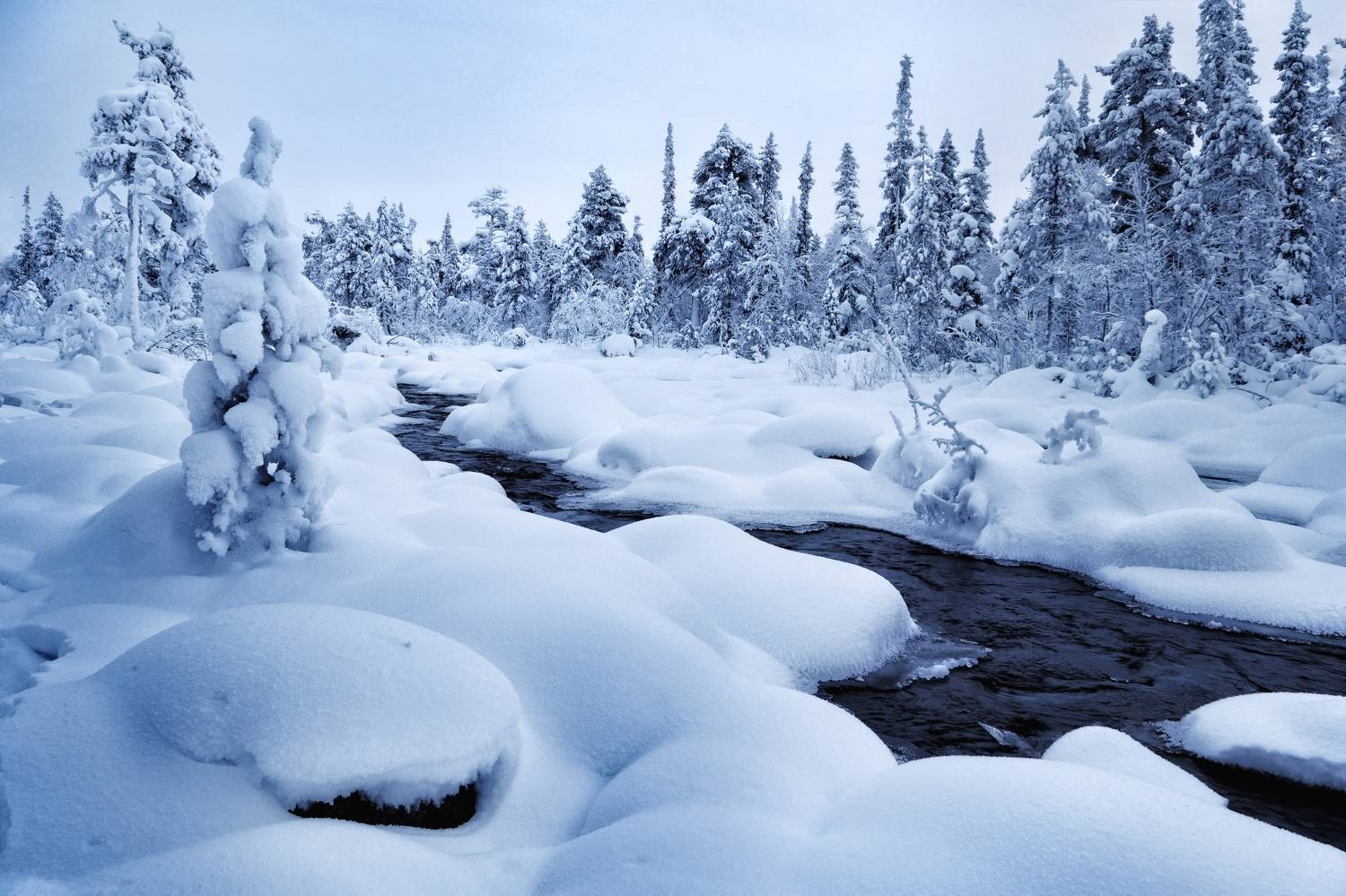 , Tatiana Meshcheryakova
