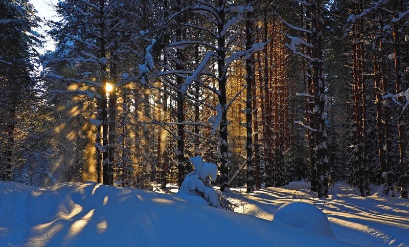 Солнце февраля фото превью