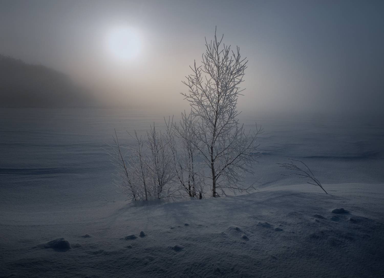 рассвет, свет, утро, природа, тульская обл., Баранов Олег