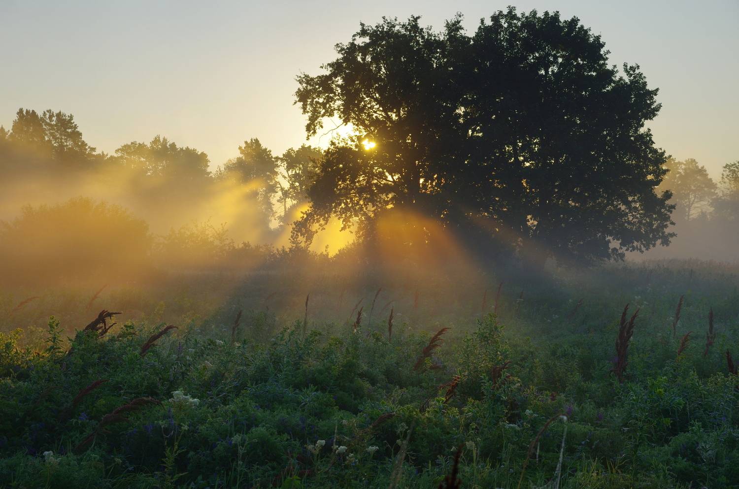 , Шляга Сергей