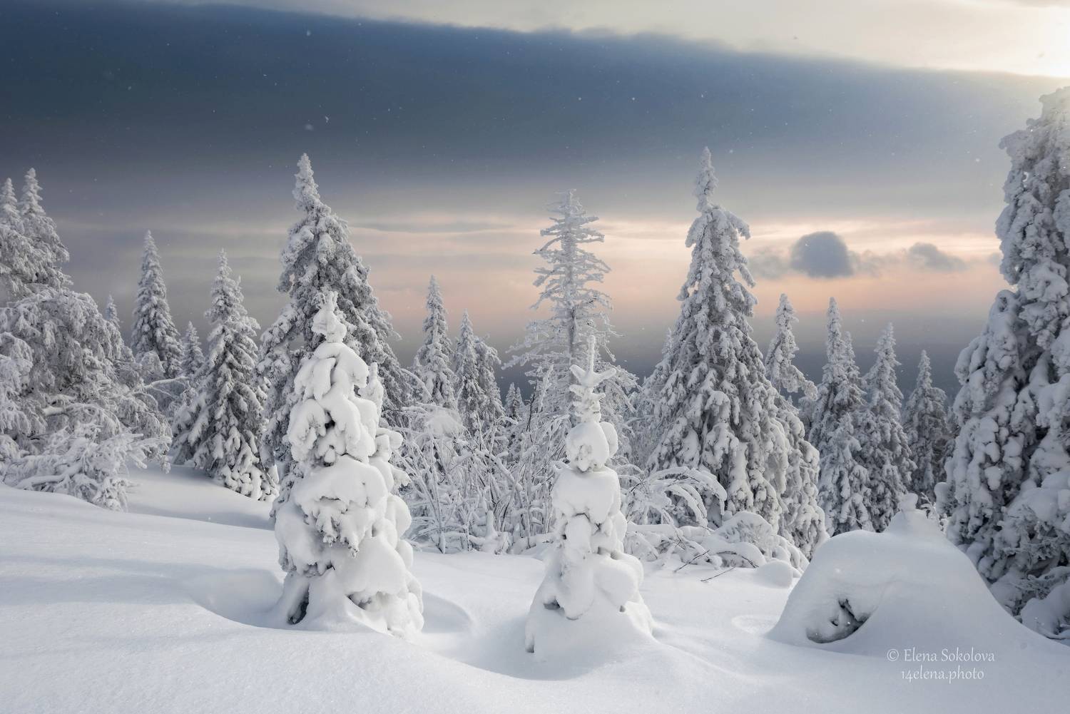 уреньга, хребет, горы, зима, челябинская область, снег, лес, Соколова Елена