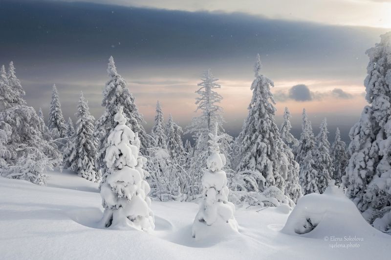 уреньга, хребет, горы, зима, челябинская область, снег, лес Уреньга фото превью