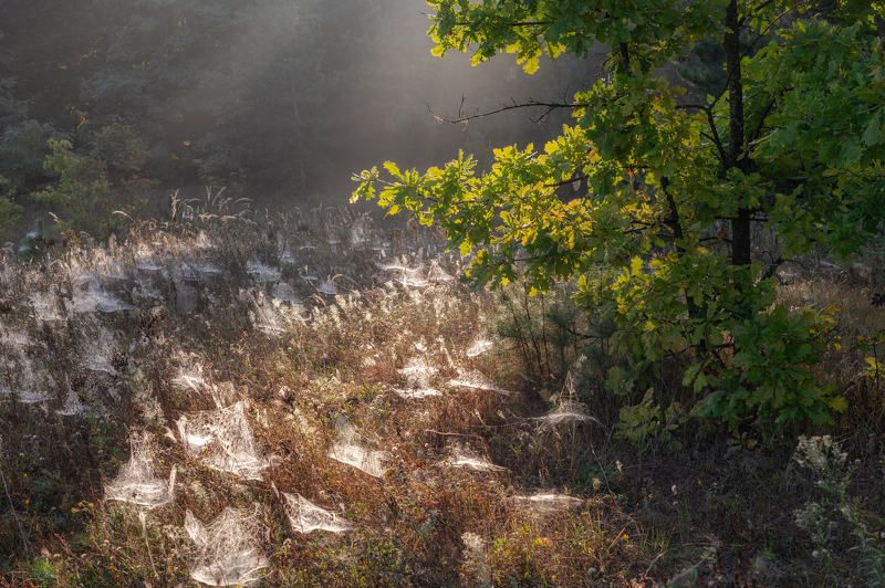 Бабье лето фото превью