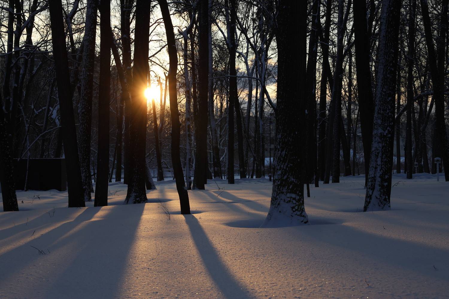 , Колосова Елена