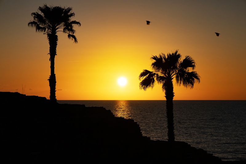 На закате знойного дня фото превью