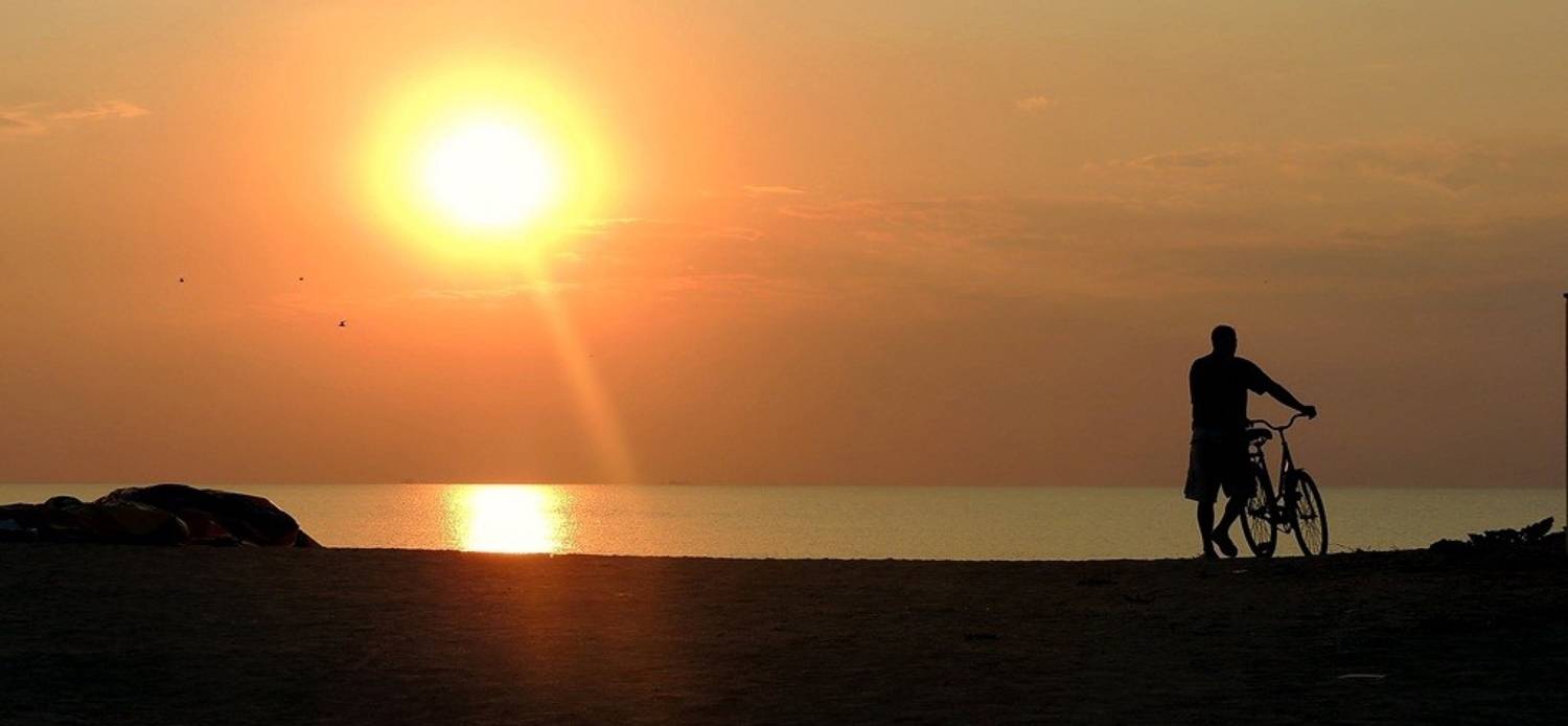 , Савоцкий Роман