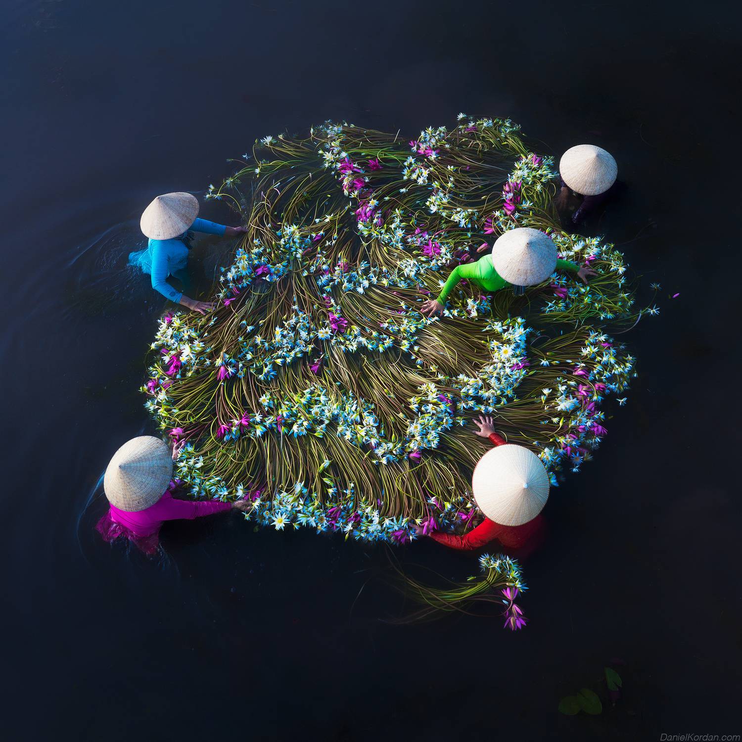 , Даниил Коржонов