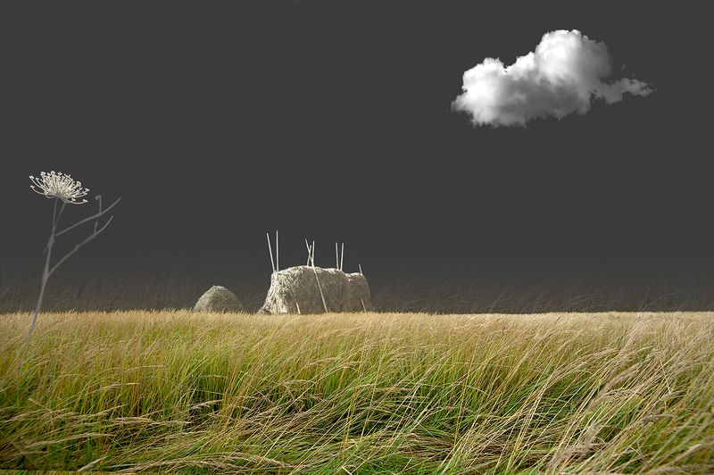 Мольба фото превью