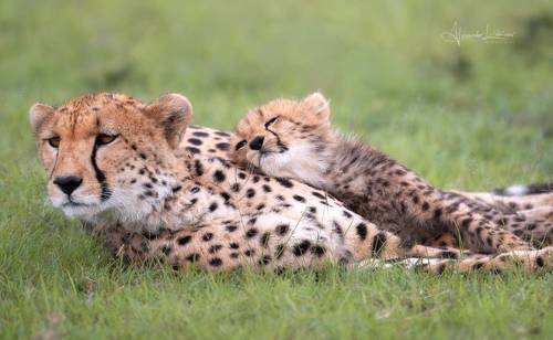 Когда мама рядом...