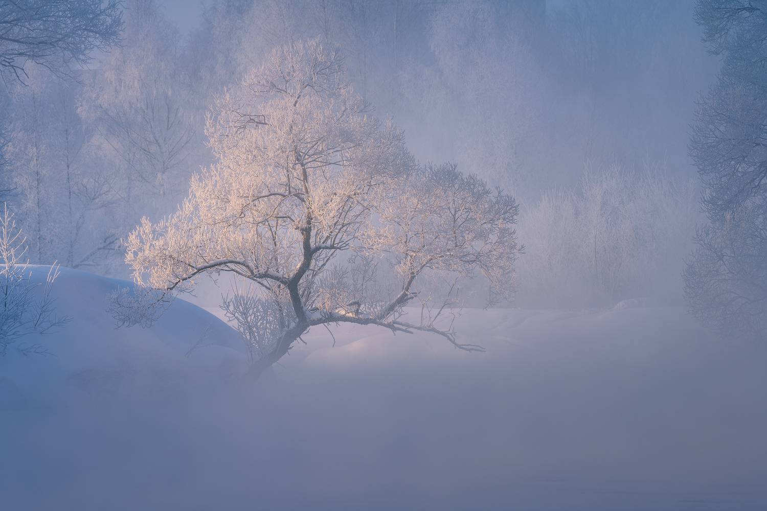 истра, зима, пейзаж, рассвет, мороз, иней, Левыкин Виталий