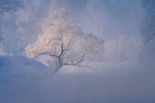 Истринский 