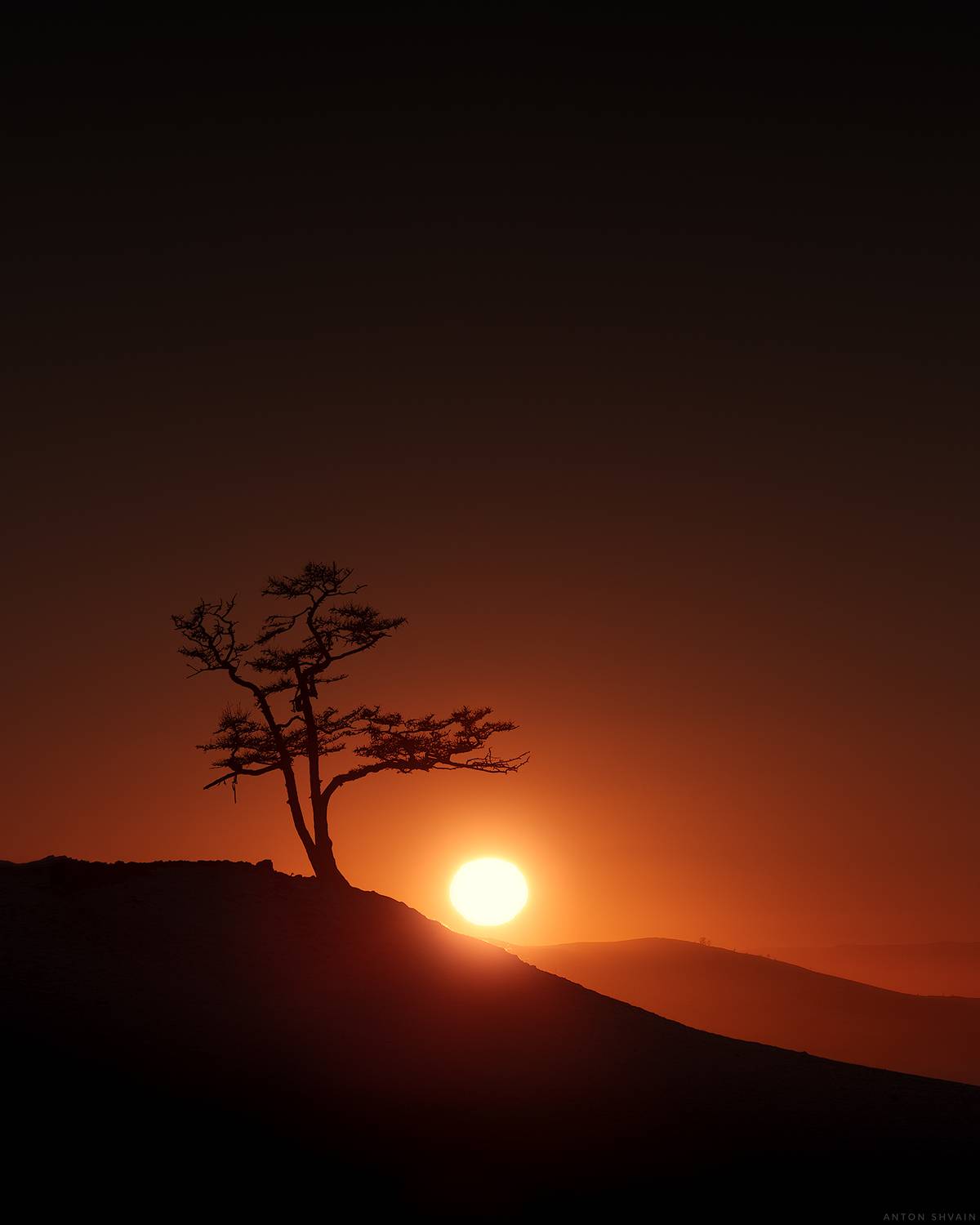 , Антон Шваин