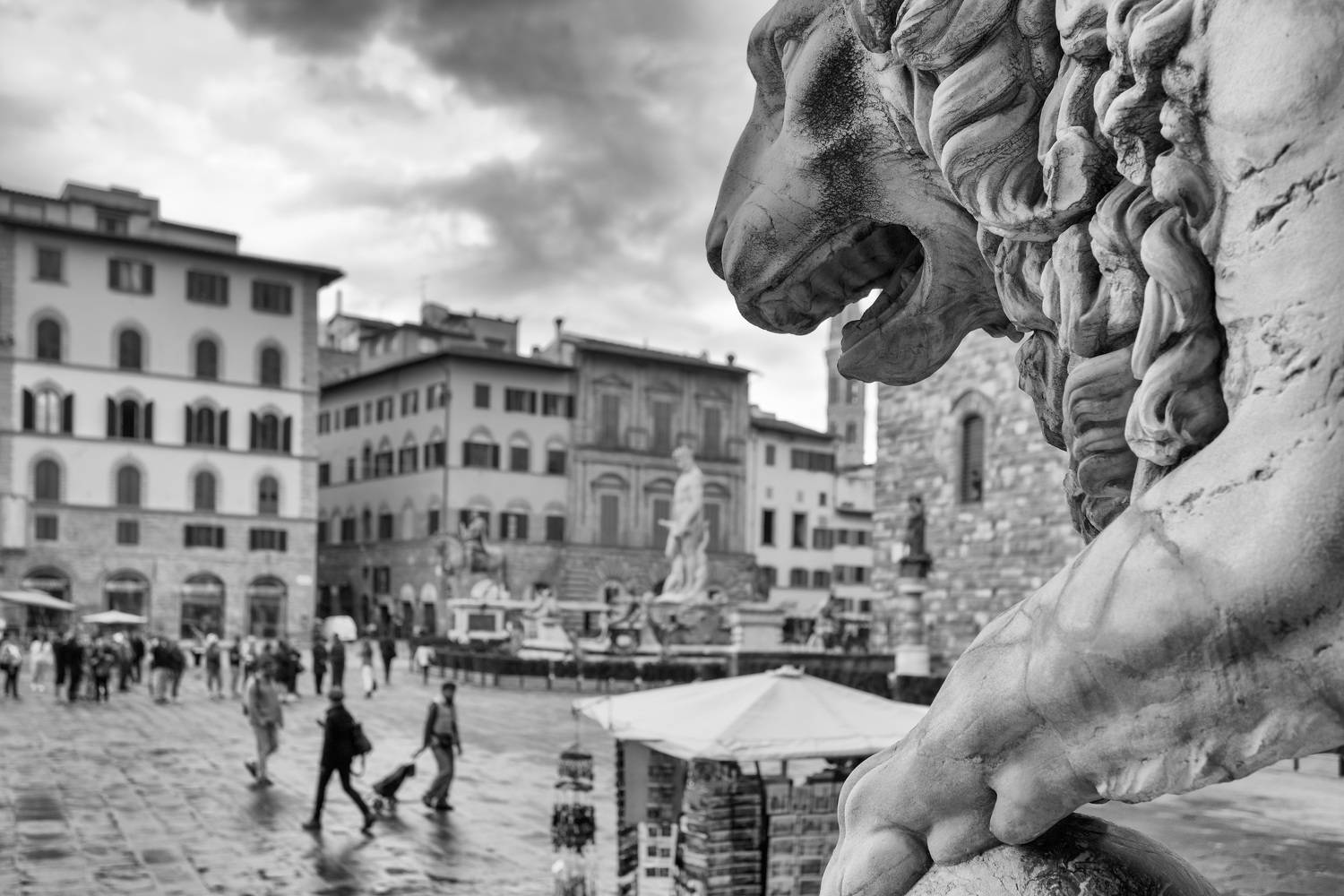 город лев камень чб, Калашников Максим