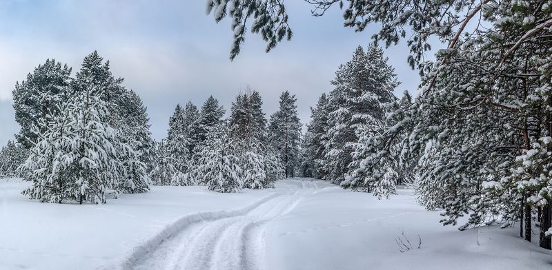 После снегопада. фото превью