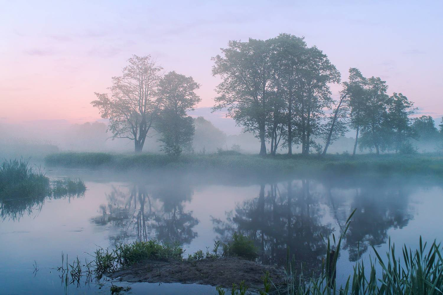 , Игорь Денисов