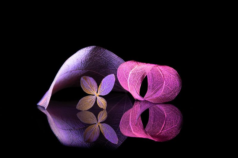 abstract Sophisticated фото превью