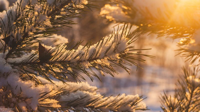 *** фото превью