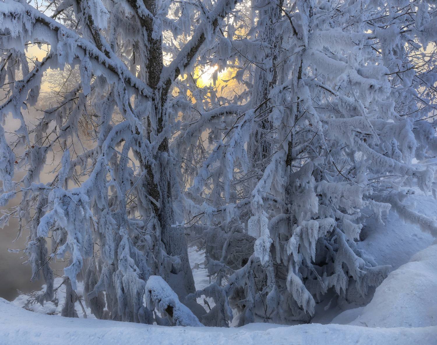 , Галина Хвостенко