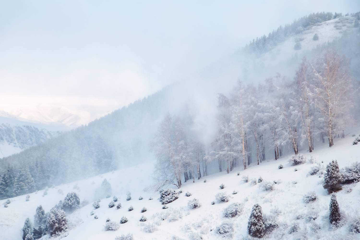 кыргызстан, урочище чункурчак, Элина Магалимова