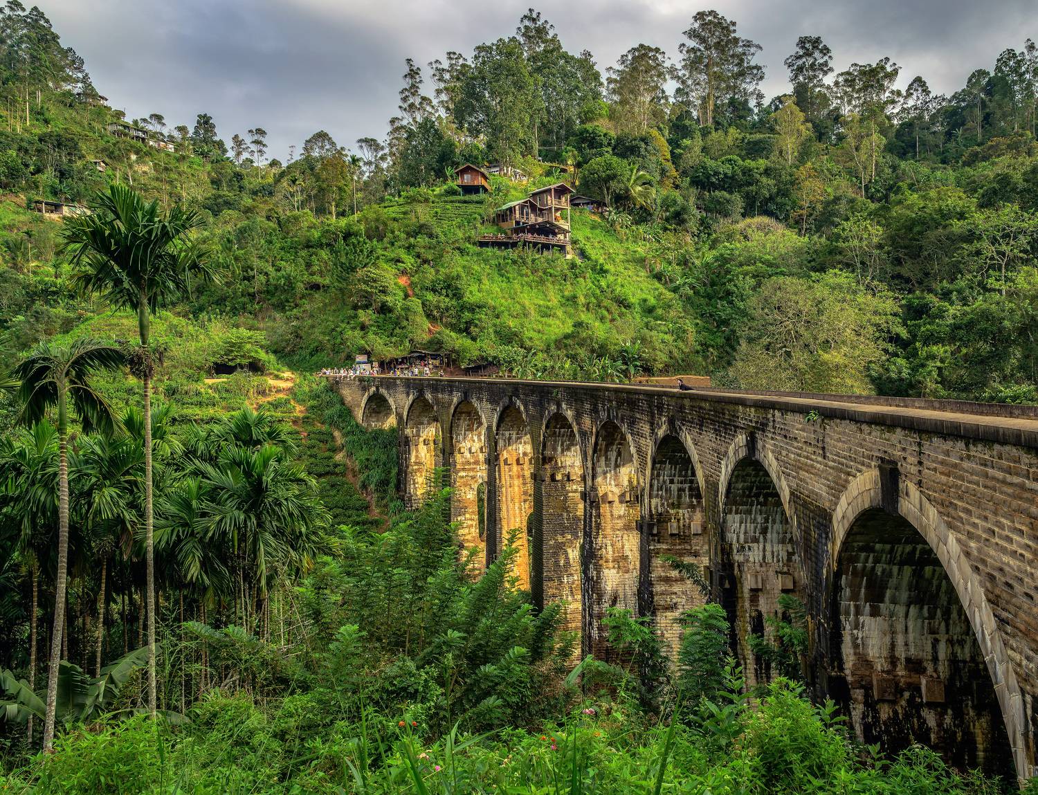 , Васильев Андрей