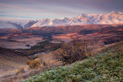 Три цвета утра