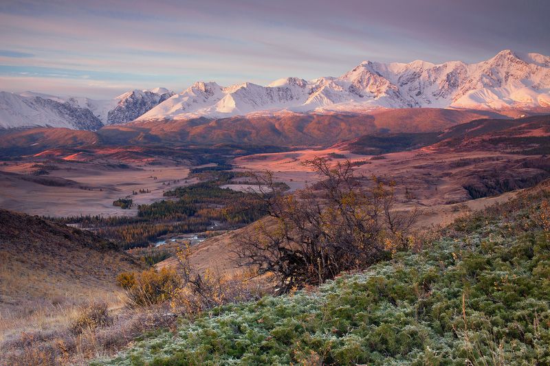 алтай, республика алтай, горы, северо-чуйский, хребет Три цвета утра фото превью