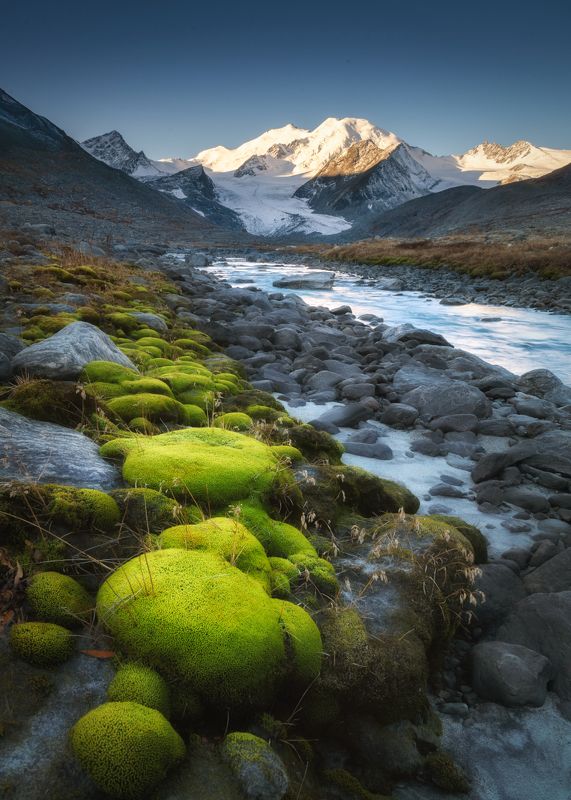 алтай, горный алтай, пейзажи алтая, кош-агачский район, горная река, горное ущелье, горы, осенний алтай, мох, морена, ледник Про мох и камни фото превью