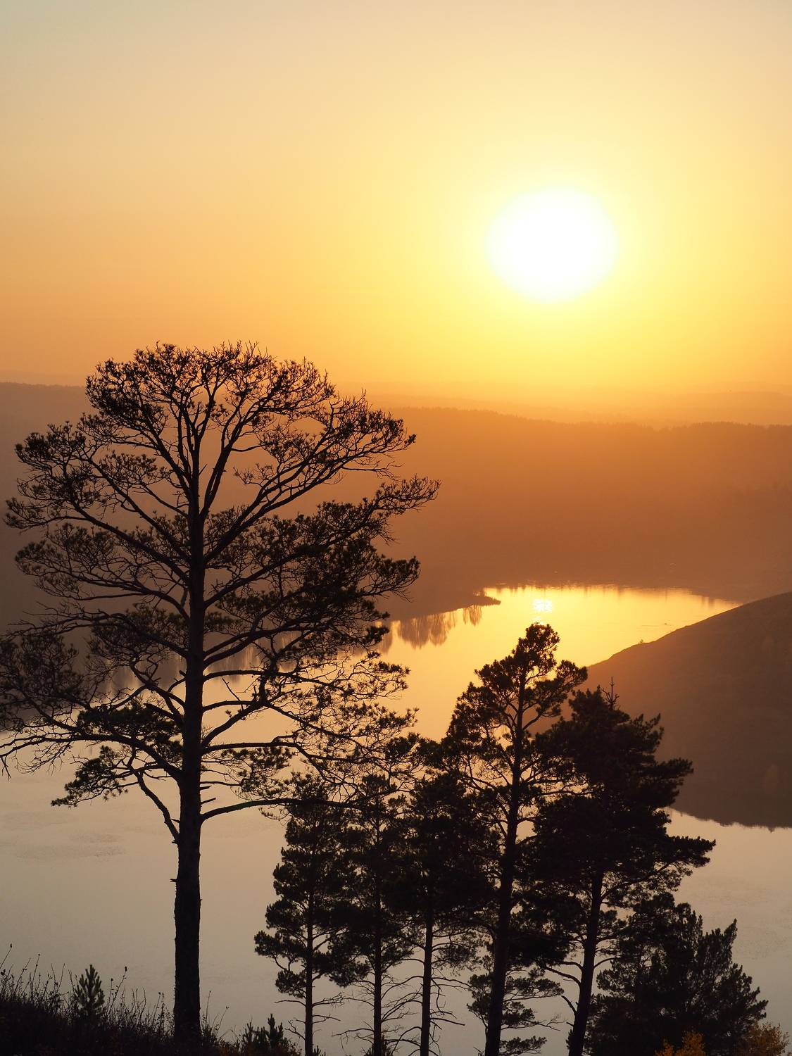 , Андрей Хаймин