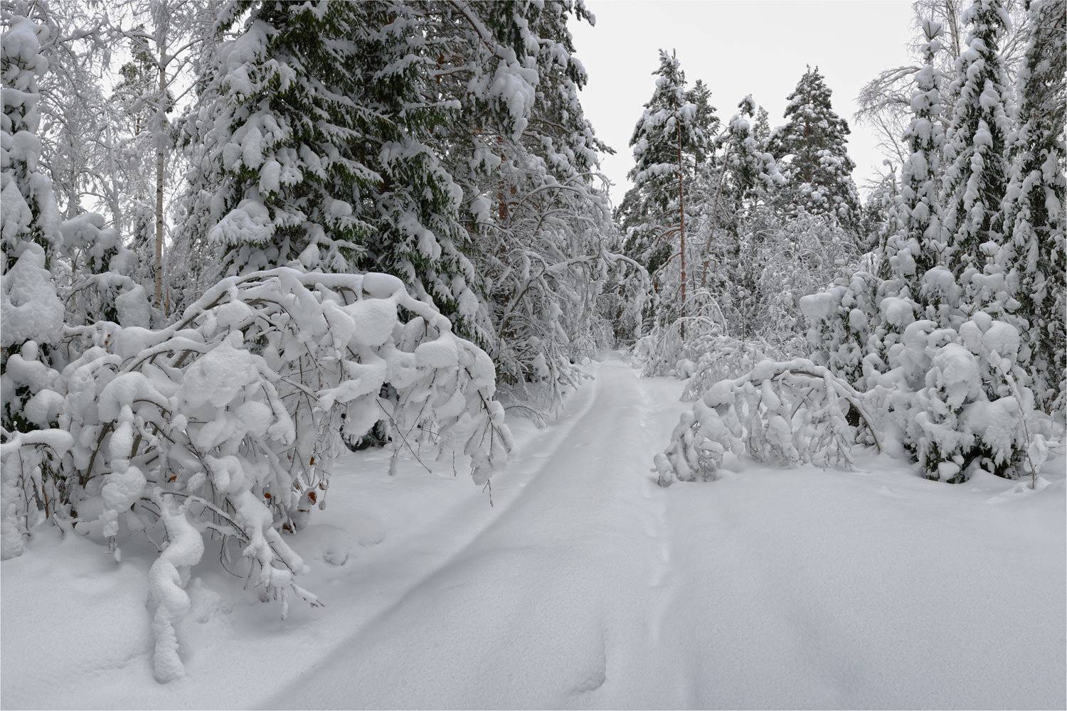 , Анатолий Гулин