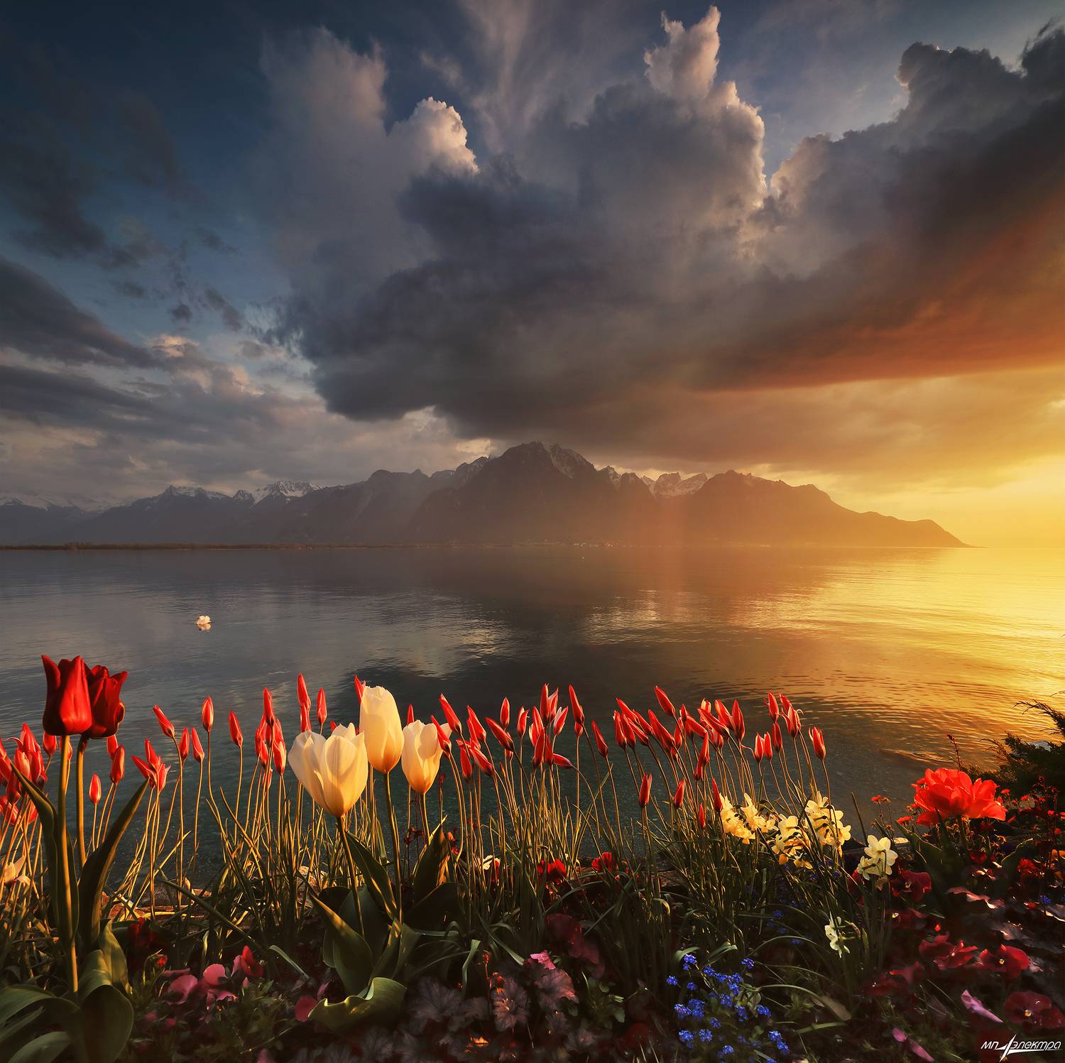 swiss,швейцария,весна,montreux, Матвеев Николай