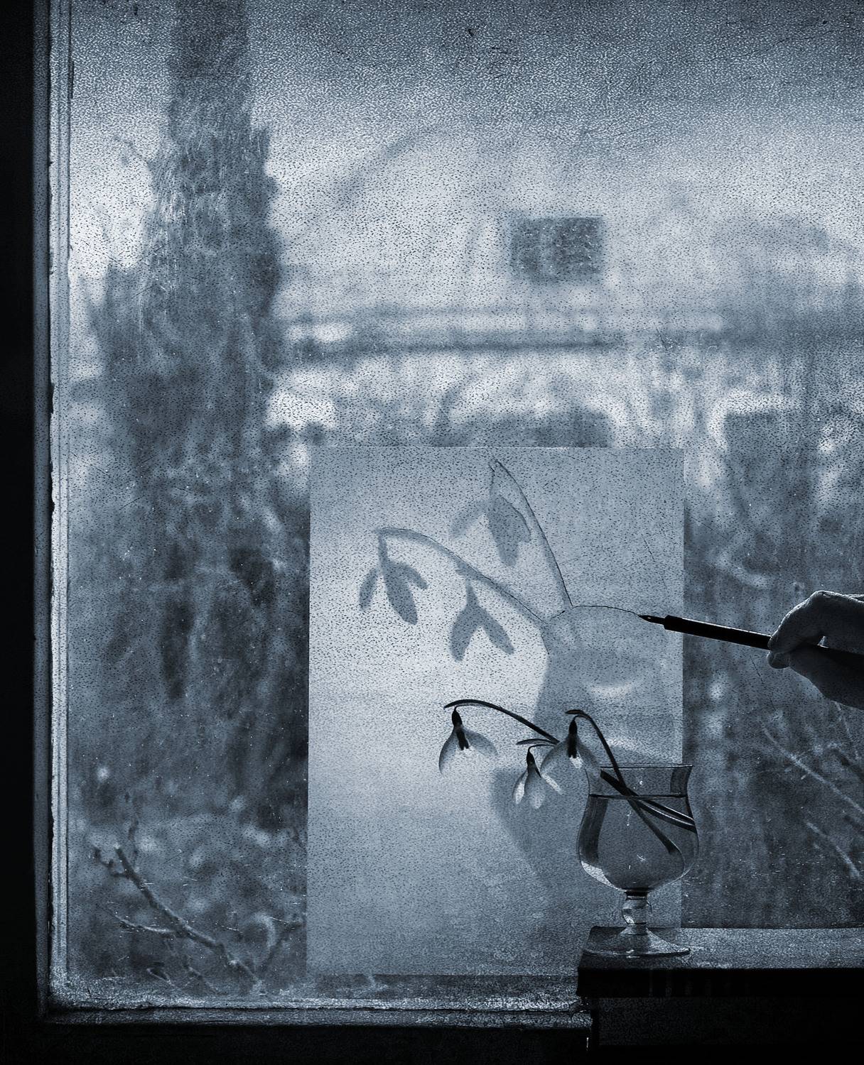 , Ирина Гайворонская