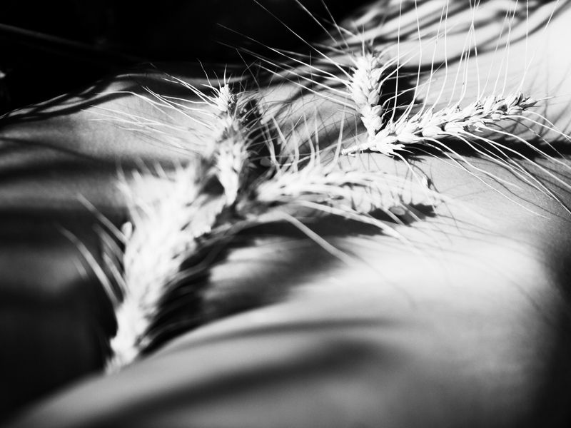 *** фото превью