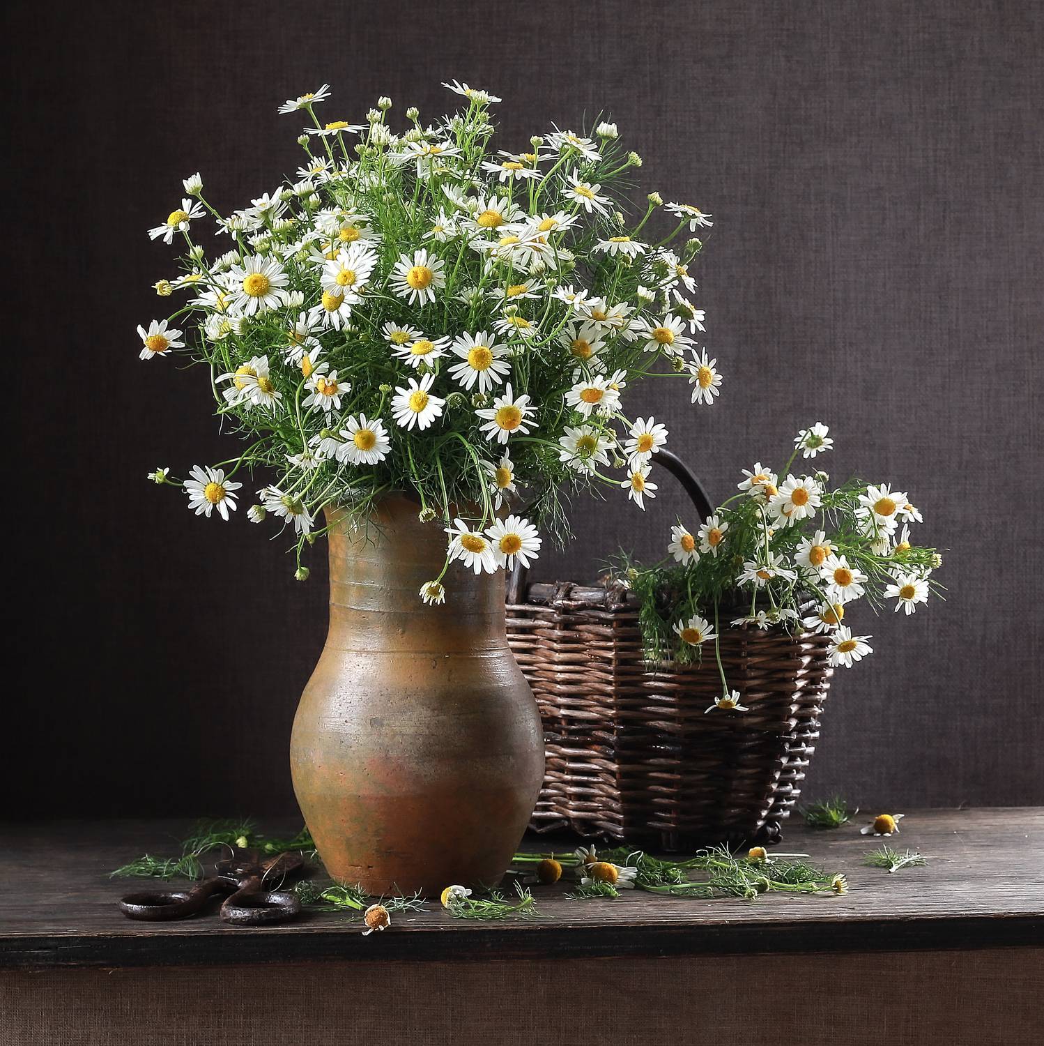 , Наталья Казанцева