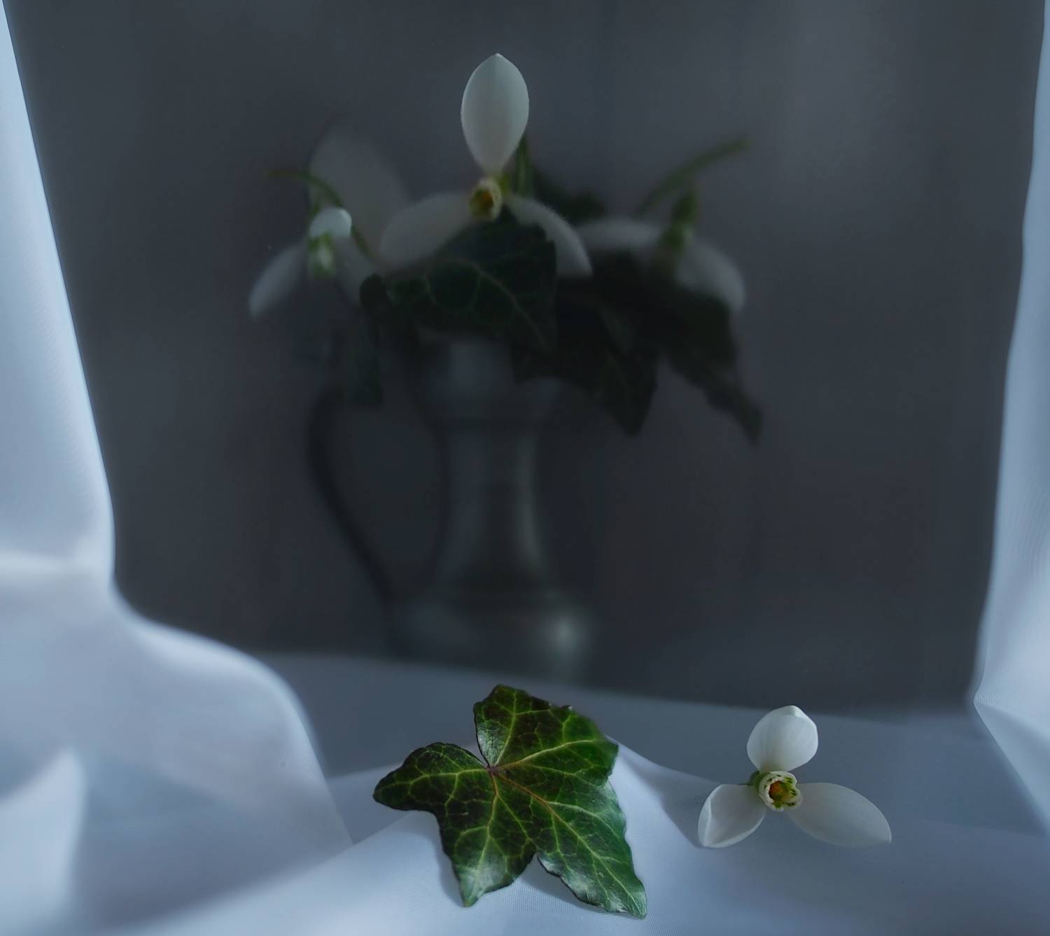 , Димитър Стоянов