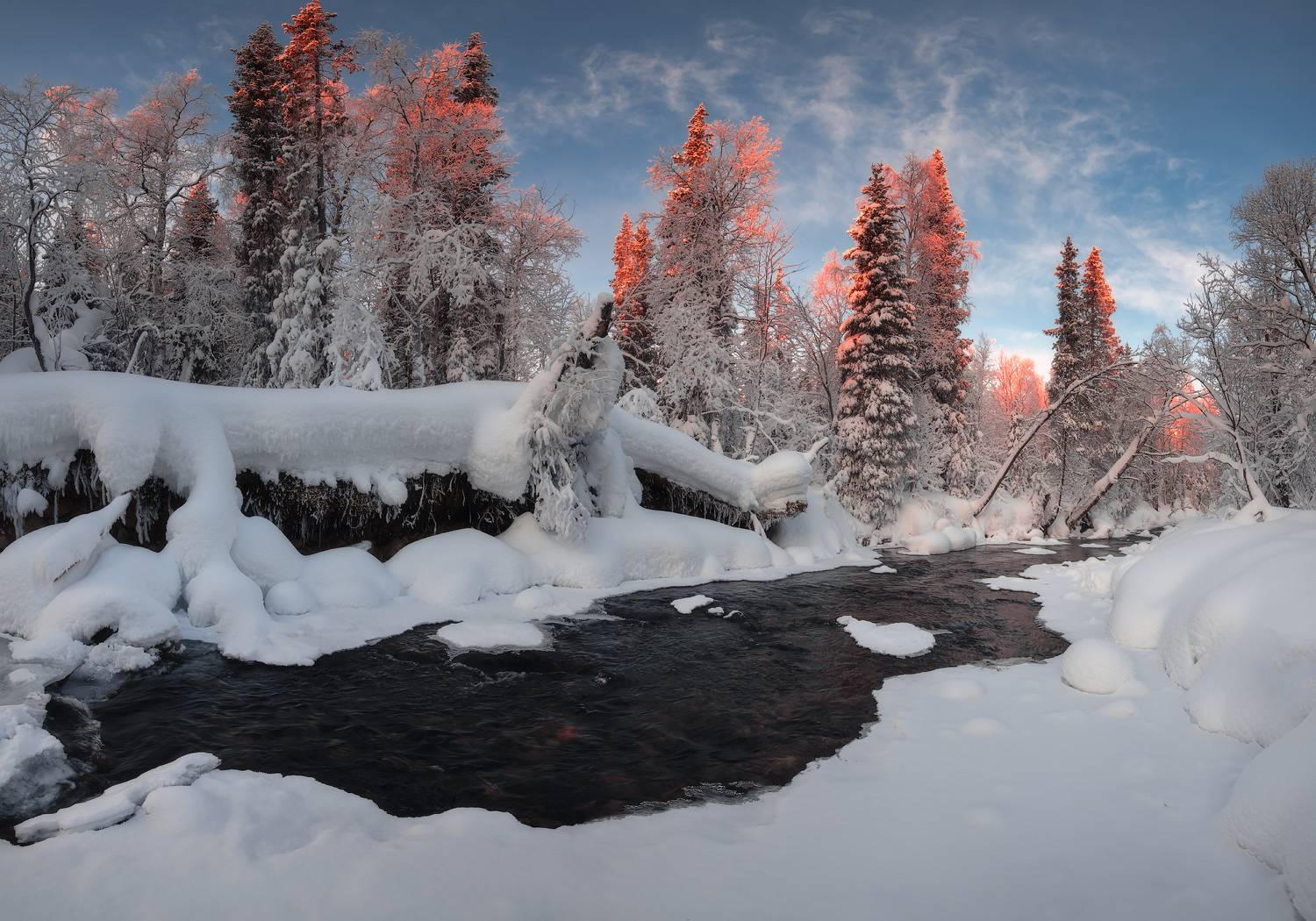 , Истомин Виталий