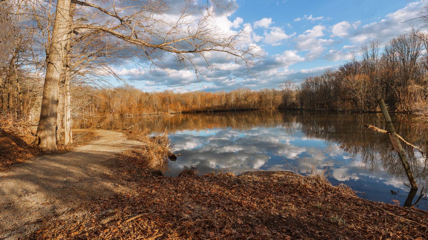 , Леонид Дьяченко