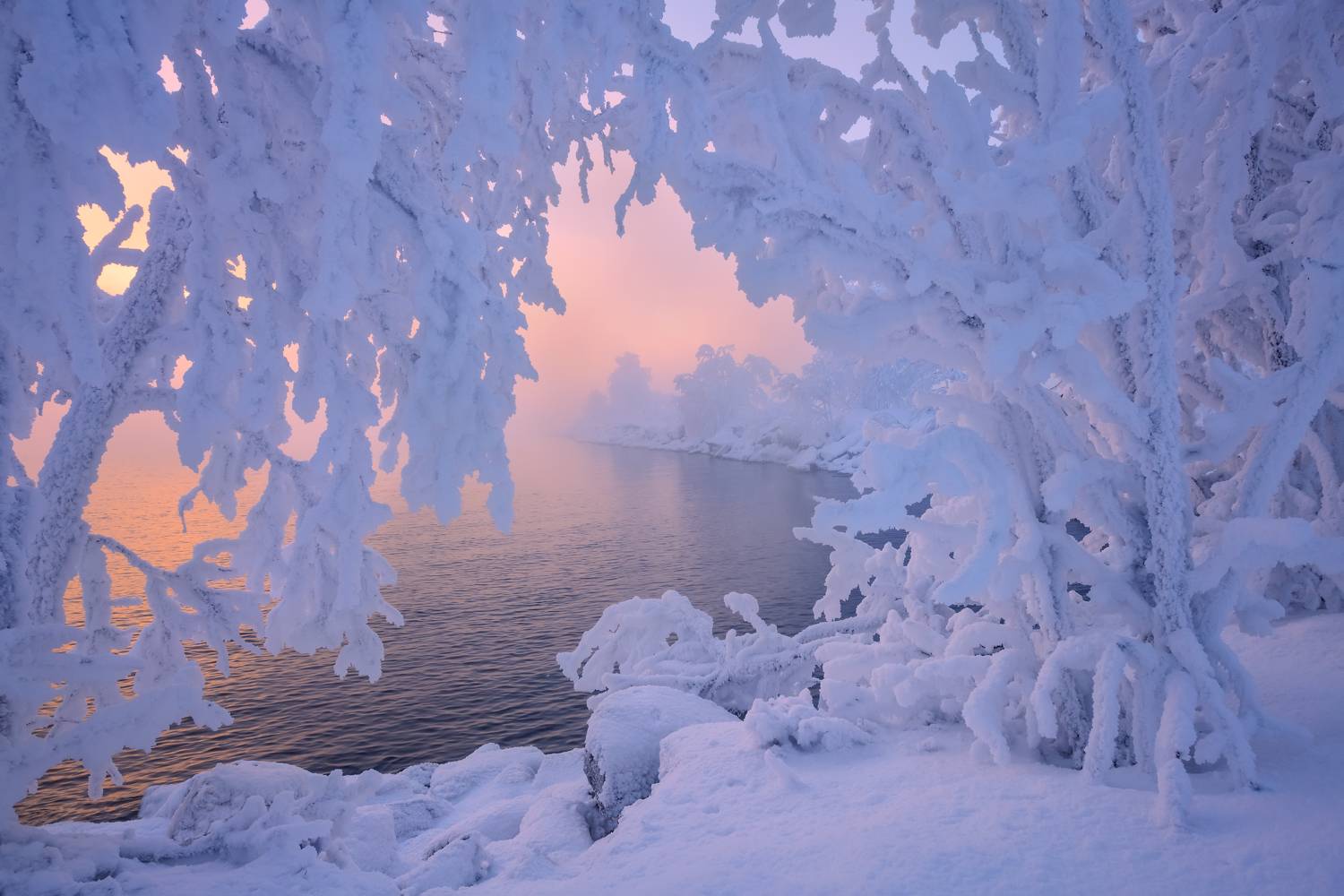 , Максим Евдокимов