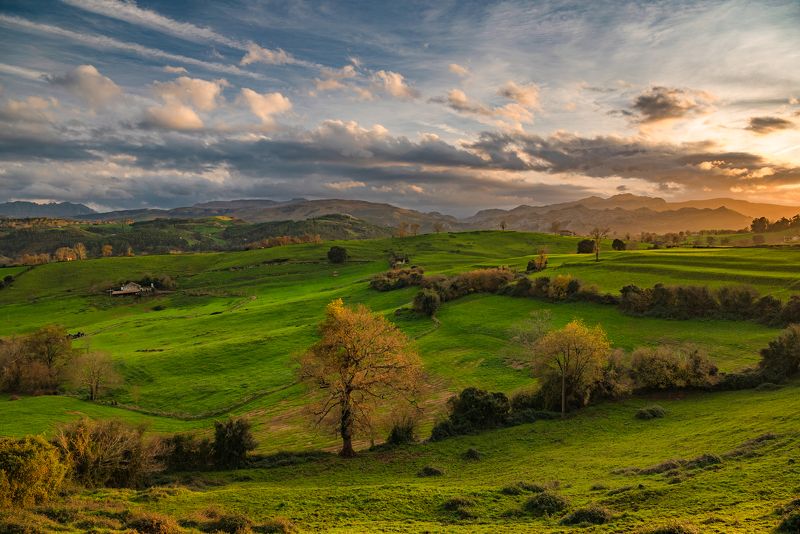 *** фото превью