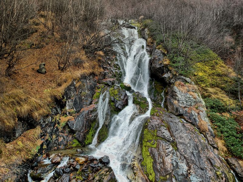 Седые косы фото превью