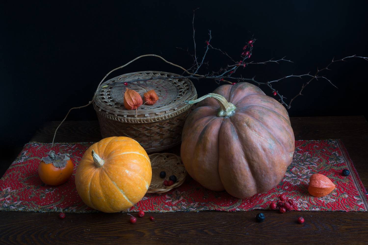 , Колеснева Елена