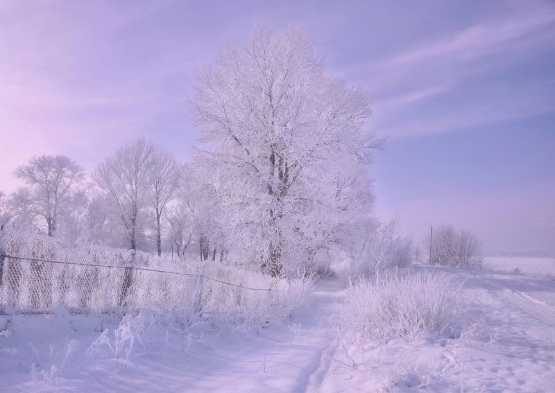 Зимнее преображение фото превью