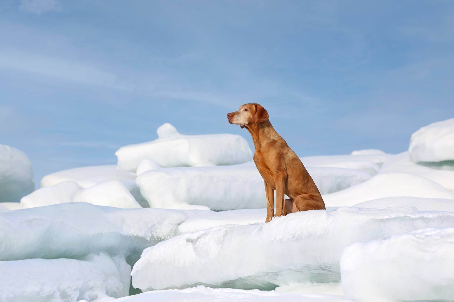 , Надежда Иванова