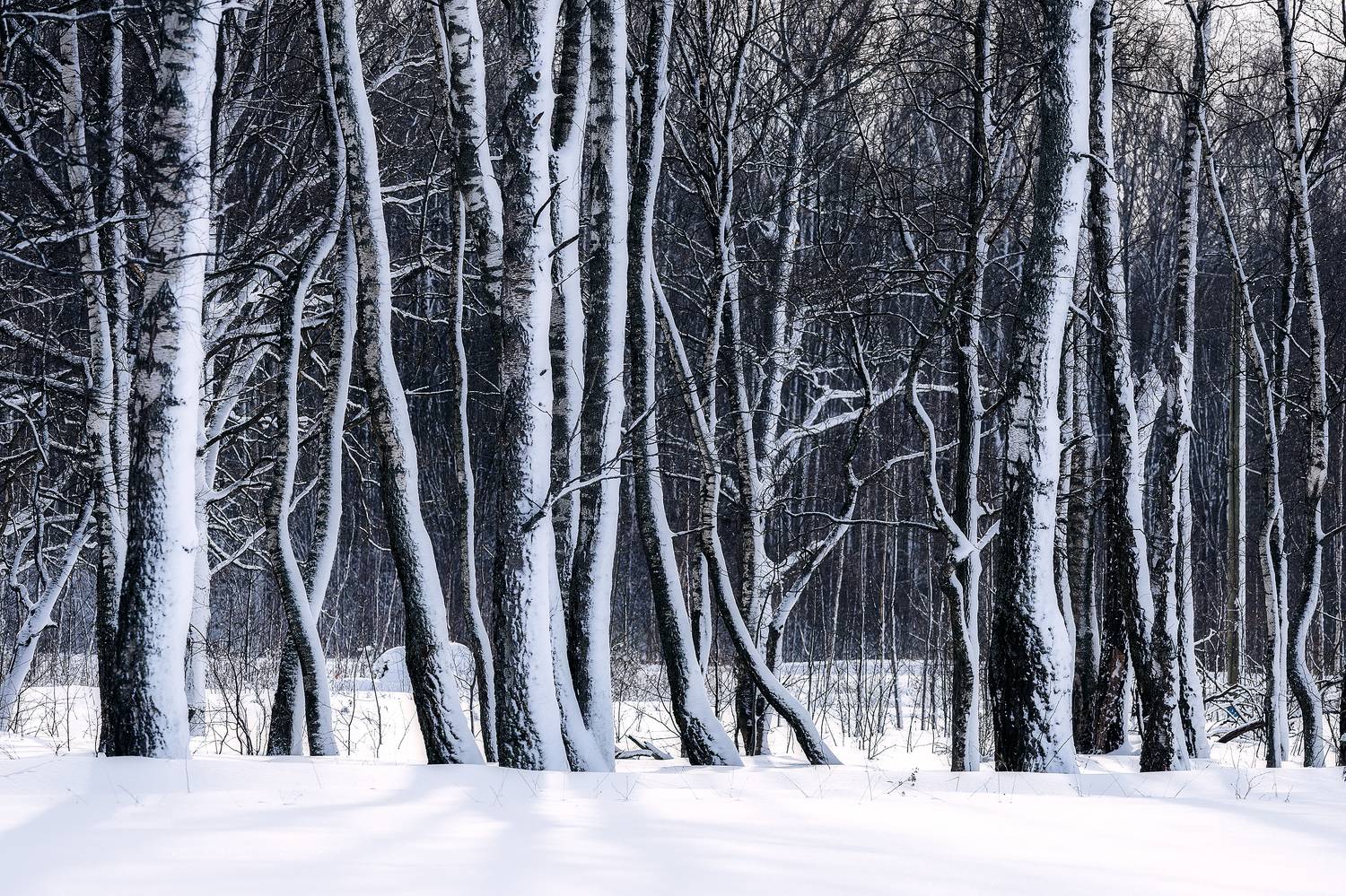 , Загруев Михаил