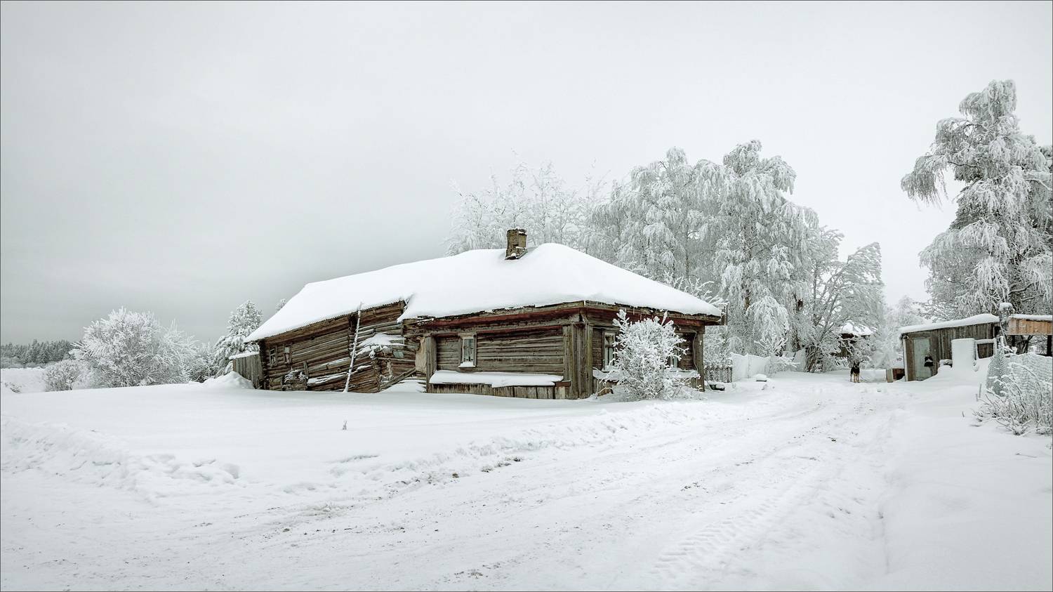 пейзаж, зима, деревня, свет, цвет, александр никитинский, Никитинский Александр