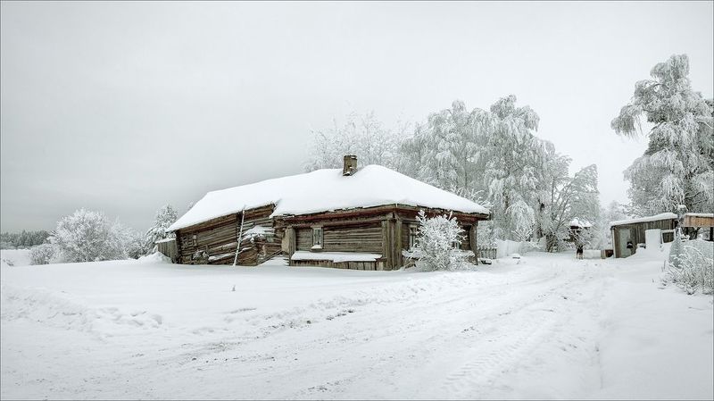 пейзаж, зима, деревня, свет, цвет, александр никитинский Зимняя, деревенская... фото превью