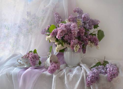 Ароматы сиреневых кружев…