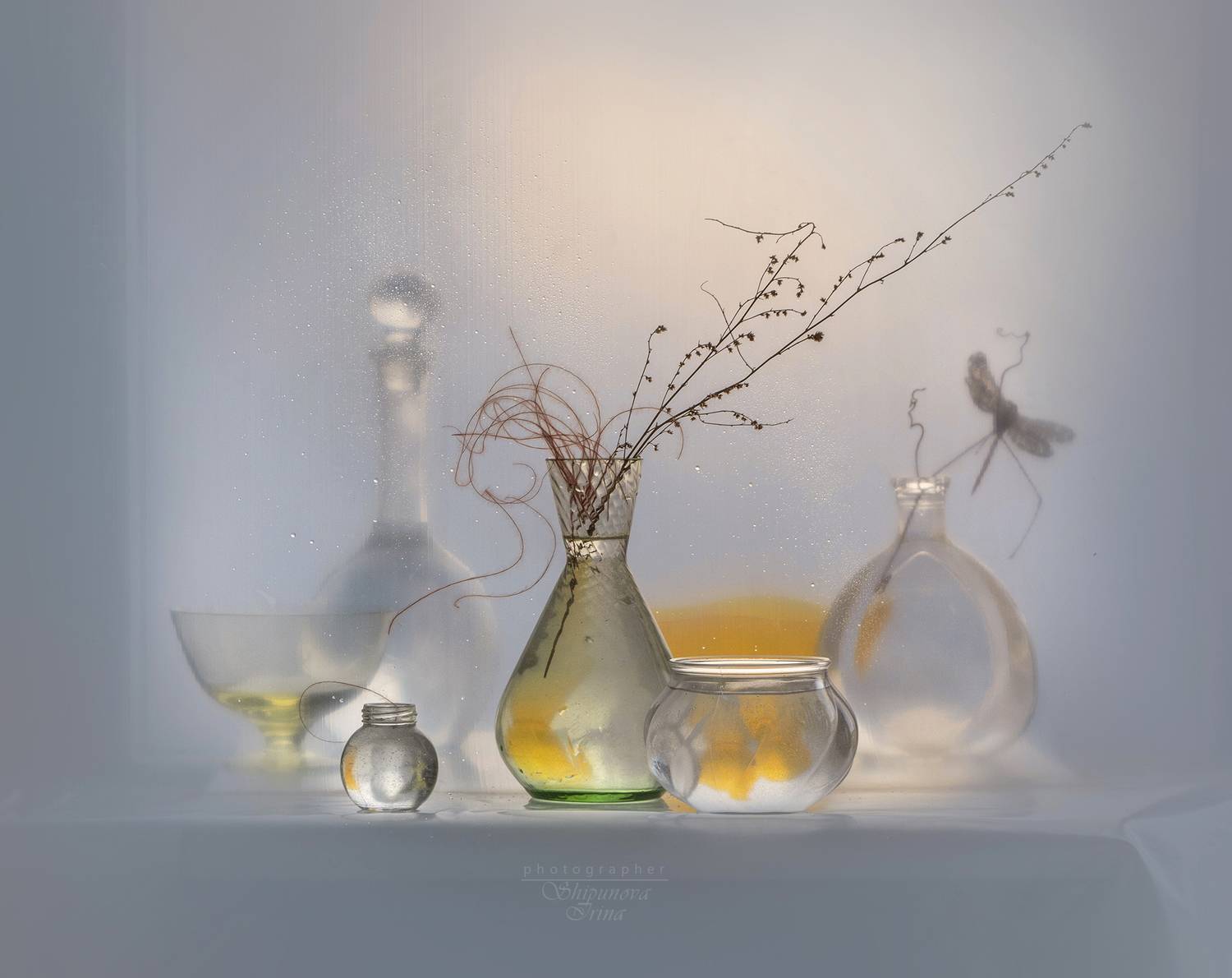 , Ирина Шипунова