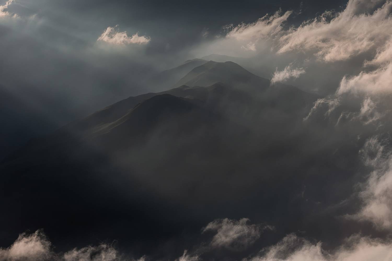 , Дмитрий Купрацевич