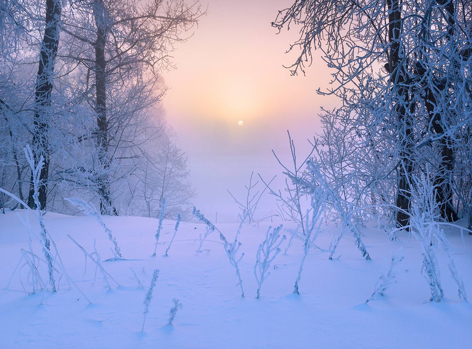 , Стрельчук Александр