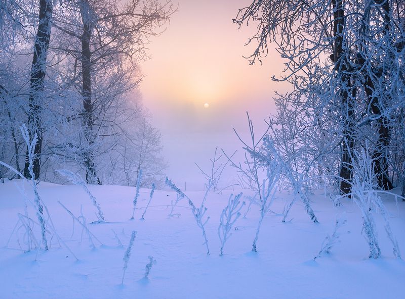 Зимнее утро фото превью